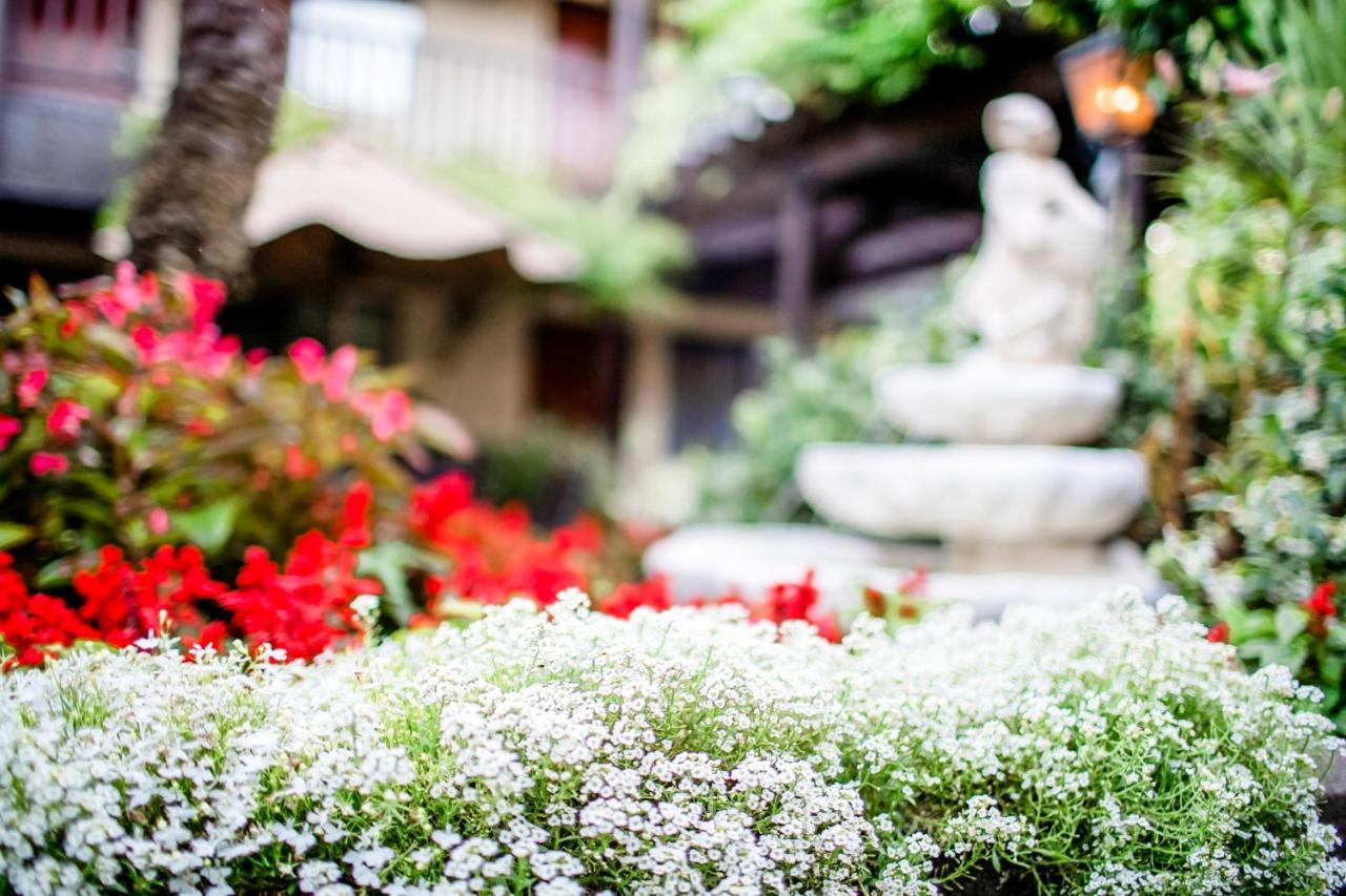 Roman Spa Resort Calistoga Kültér fotó