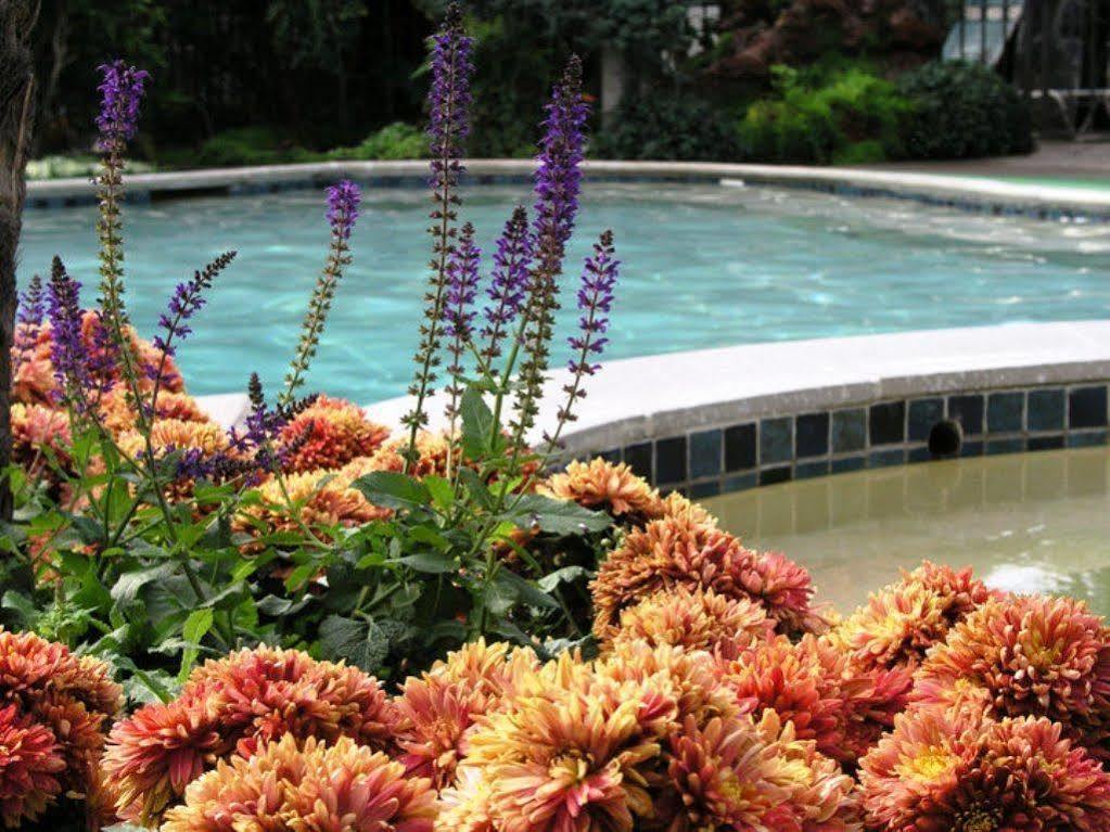 Roman Spa Resort Calistoga Kültér fotó